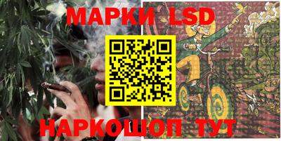 спиды Бийск