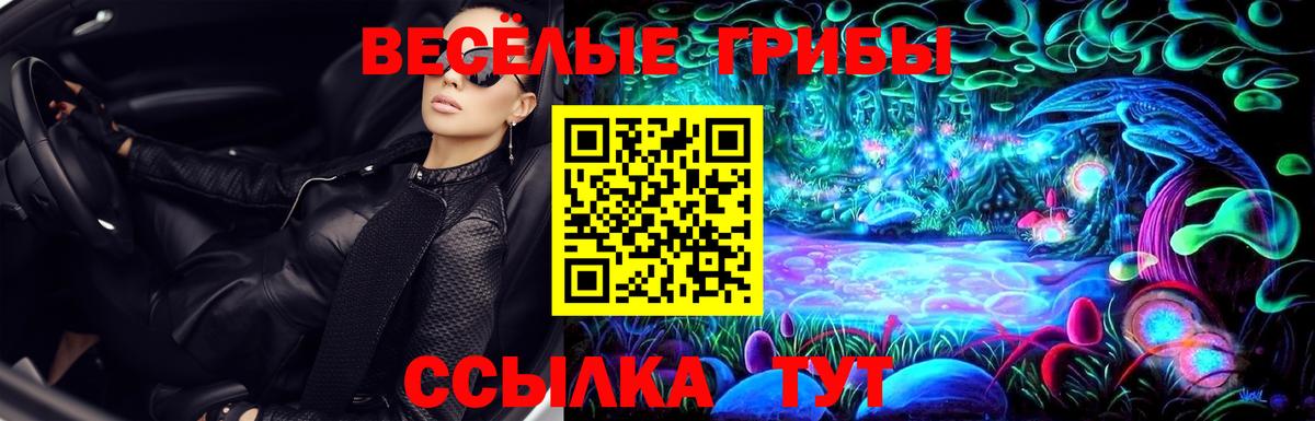 Псилоцибиновые грибы GOLDEN TEACHER Ивантеевка